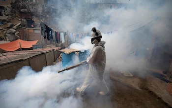 A member of a health brigade fumigates a street against the dengue virus at a shanty town on the hills of San Juan de Lurigancho district, Lima 