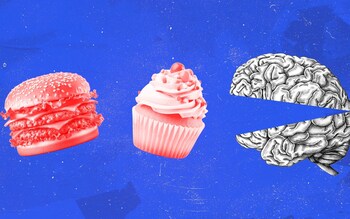 Cakes and brain